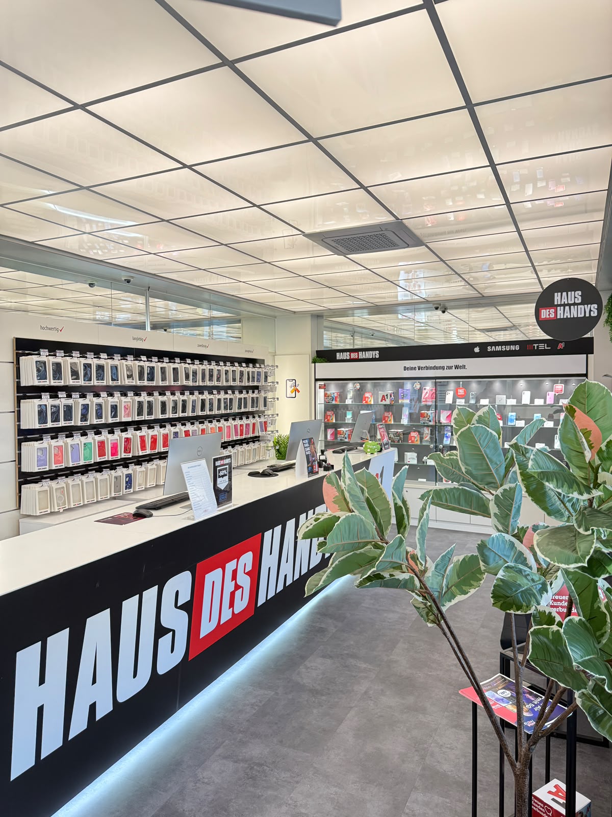 Haus des Handys Innenraum — Theke mit Zubehörwand und Partnerdisplays